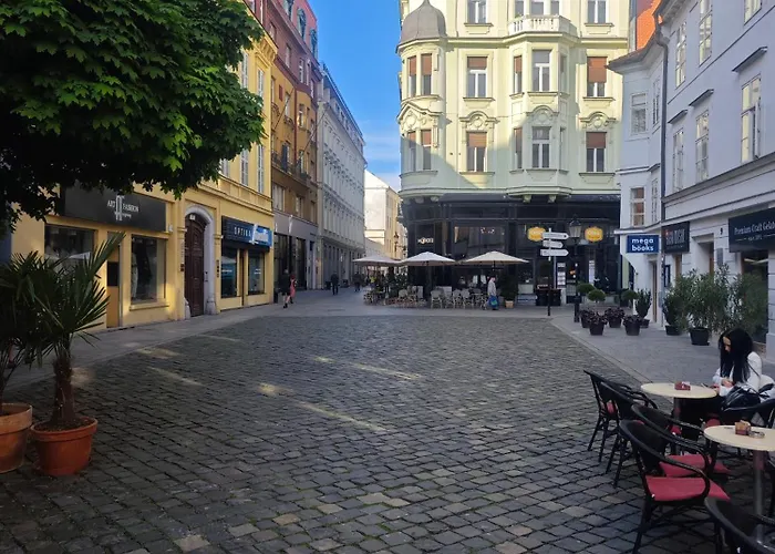 Laurinska Modern In Direct Centrum Of Bratislava, Air-condition Apartament *